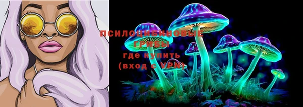 дмт Горно-Алтайск
