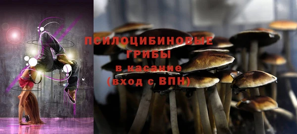 PSILOCYBIN Горняк