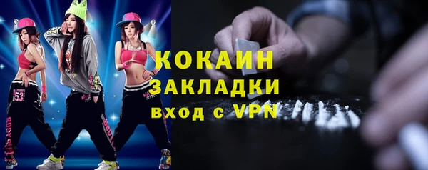 шишки Горнозаводск