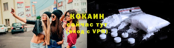 шишки Горнозаводск