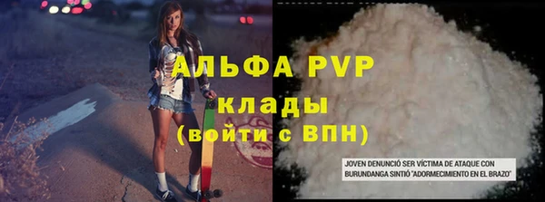 PSILOCYBIN Горняк