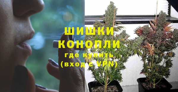 шишки Горнозаводск