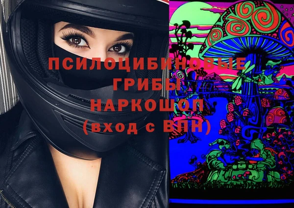 дмт Горно-Алтайск